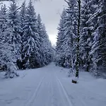- Thueringer Wald - Rennsteig Piesau