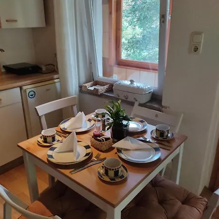 - Thueringer Wald - Rennsteig Apartment *