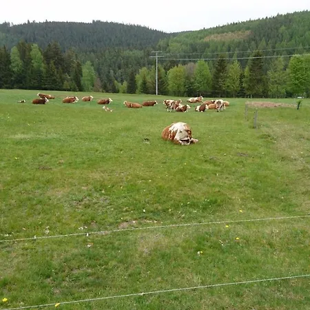 - Thueringer Wald - Rennsteig * Piesau