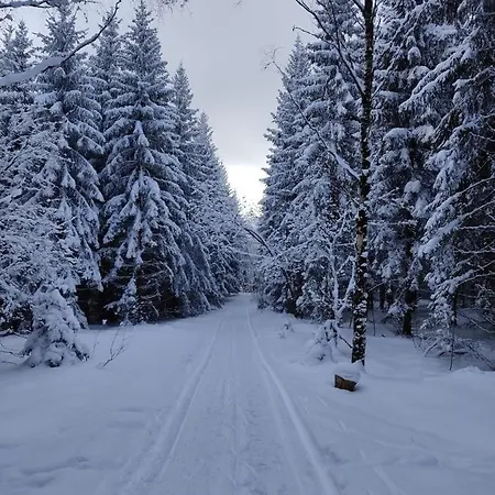- Thüringer Wald - Rennsteig Piesau