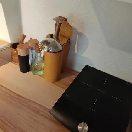 - Thueringer Wald - Rennsteig Apartment *