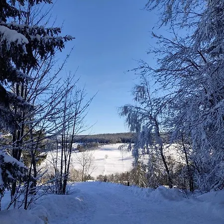 - Thueringer Wald - Rennsteig דירה Piesau