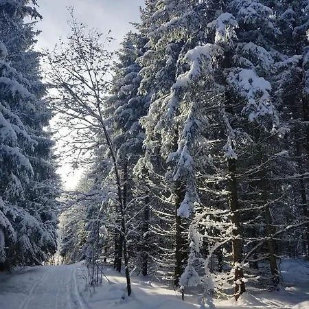 - Thueringer Wald - Rennsteig דירה Piesau