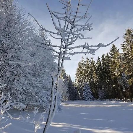 - Thüringer Wald - Rennsteig *