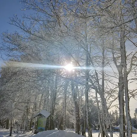 - Thueringer Wald - Rennsteig * Piesau
