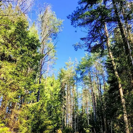 - Thüringer Wald - Rennsteig