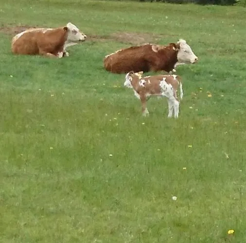 - Thueringer Wald - Rennsteig *