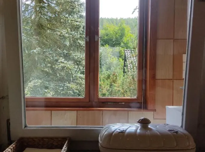 Appartement - Thueringer Wald - Rennsteig Piesau