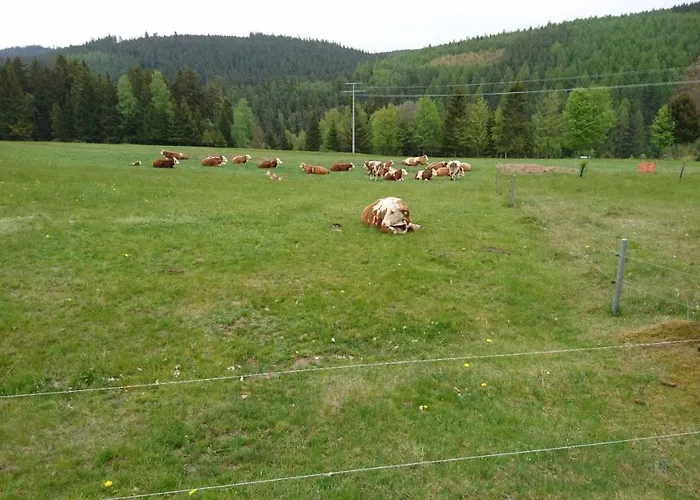 - Thueringer Wald - Rennsteig * Piesau