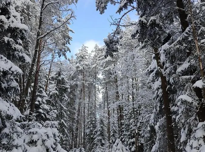 Appartement - Thueringer Wald - Rennsteig