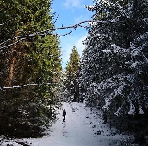 - Thueringer Wald - Rennsteig Appartement