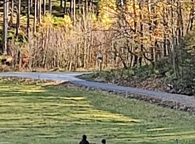 - Thueringer Wald - Rennsteig *