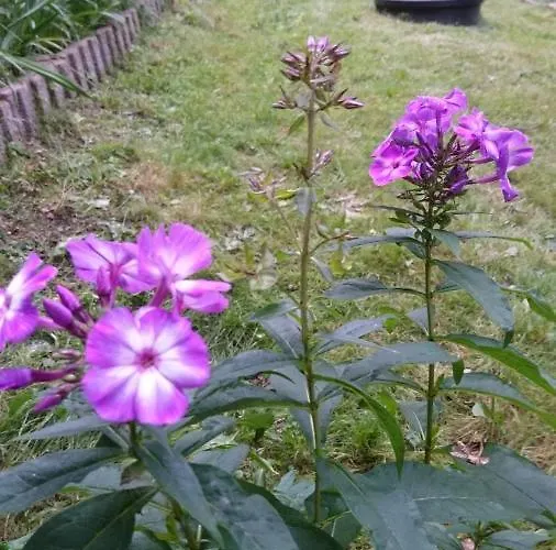 - Thueringer Wald - Rennsteig *