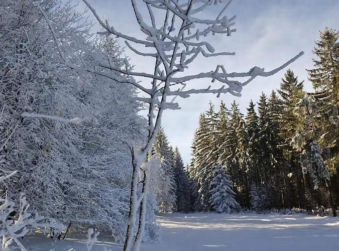 - Thueringer Wald - Rennsteig *