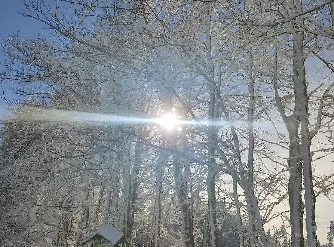 - Thueringer Wald - Rennsteig * Piesau
