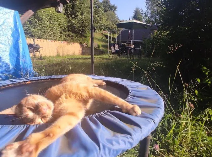 - Thueringer Wald - Rennsteig Appartement Piesau