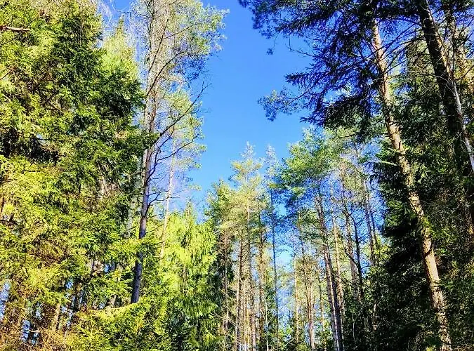 - Thueringer Wald - Rennsteig