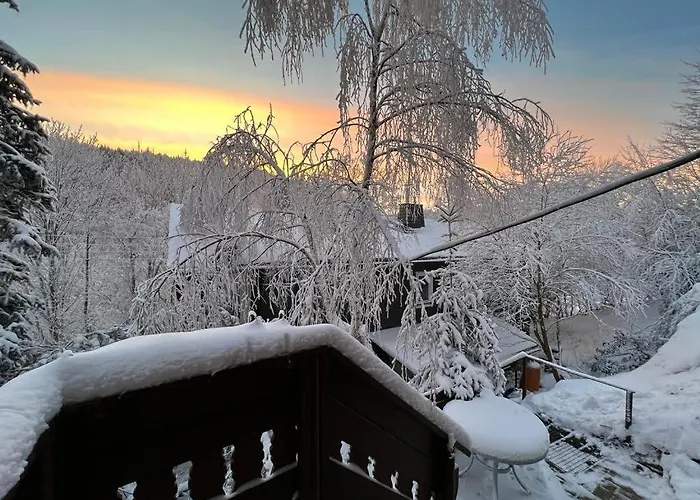 - Thueringer Wald - Rennsteig Appartement *